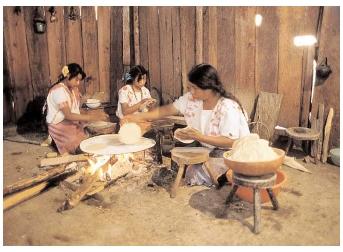 A Tzotzil mother makes tortillas with her daughters. The Tzotzil live in Chiapas, Mexico, near Guatemala. Central Americans traditionally have simple diets that depend on corn, beans, and local fruits and vegetables. [© Corbis. Reproduced by permission.]