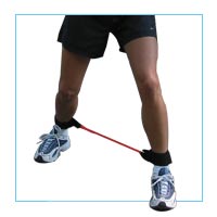 Side Stepper Medium