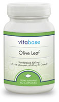 Olive Leaf