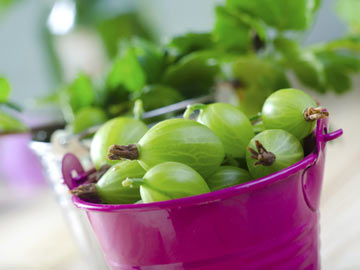 Gooseberries, Apples, and Raisins in Wine